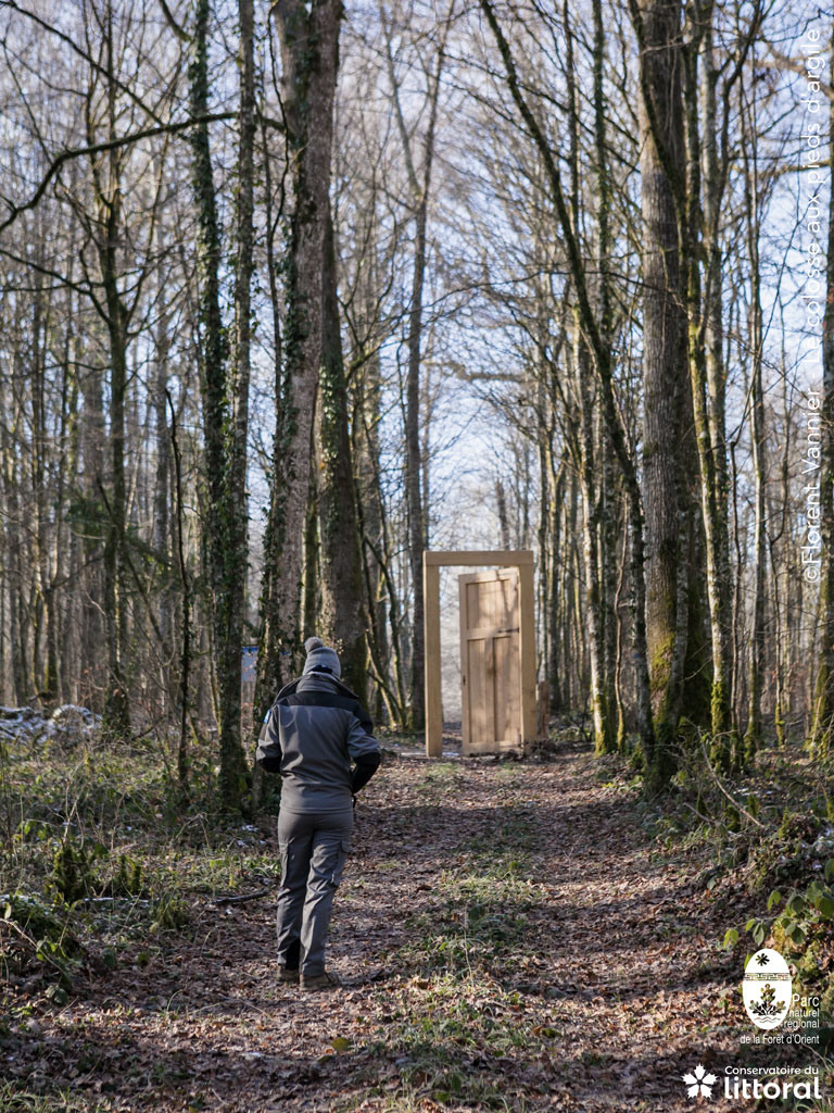Dans la forêt, un promeneuse arrive devant une grande porte.